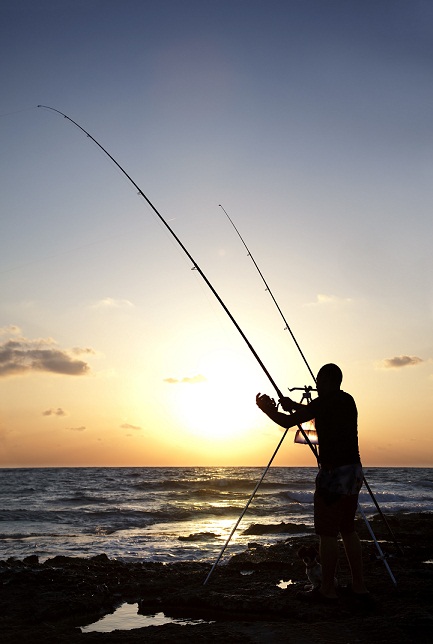 Pesca surfcasting