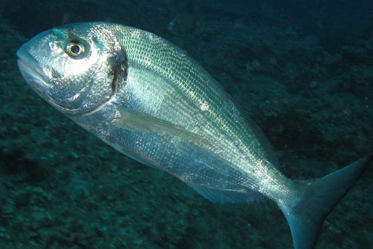 Pesca surfcasting scelta della spiaggia