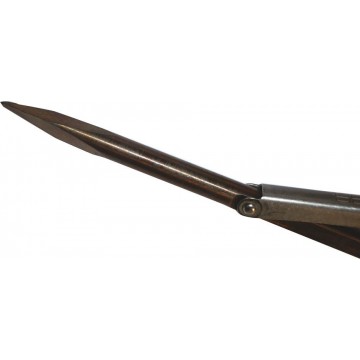 Tricuspide