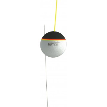 Vela