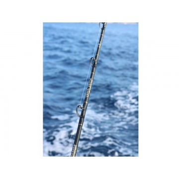 ITALCANNA canna black horse Italcanna canne da pesca