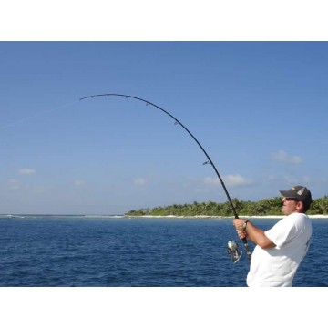 Italcanna gt special popping Italcanna canne da pesca