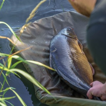Revolve Folding Flat Mat Avid carp Avid Carp