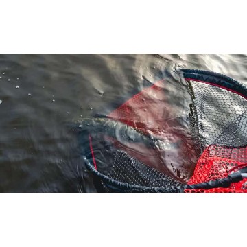 Fox Rage Speedflow Landing Nets Fox rage articoli per la pesca