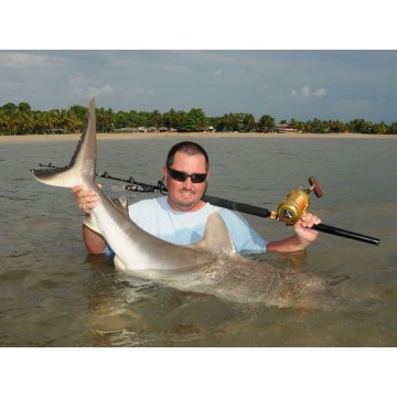 Diplomat Italcanna Italcanna canne da pesca