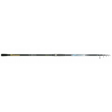 ITALCANNA pegaso Italcanna canne da pesca