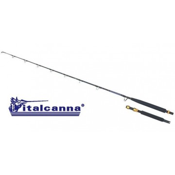 ITALCANNA baltimora 2 Italcanna canne da pesca