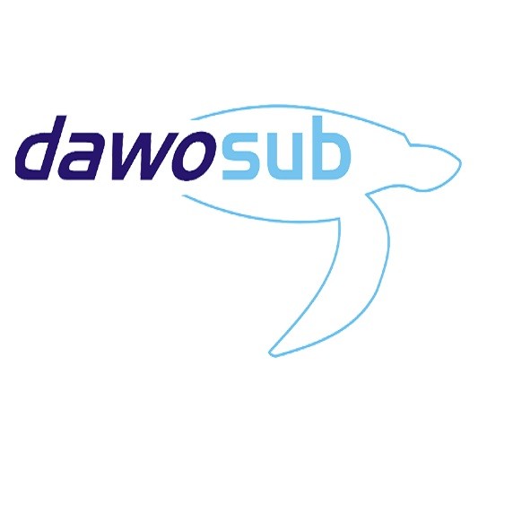 Dawosub torce per subacquea