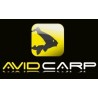 Avid Carp